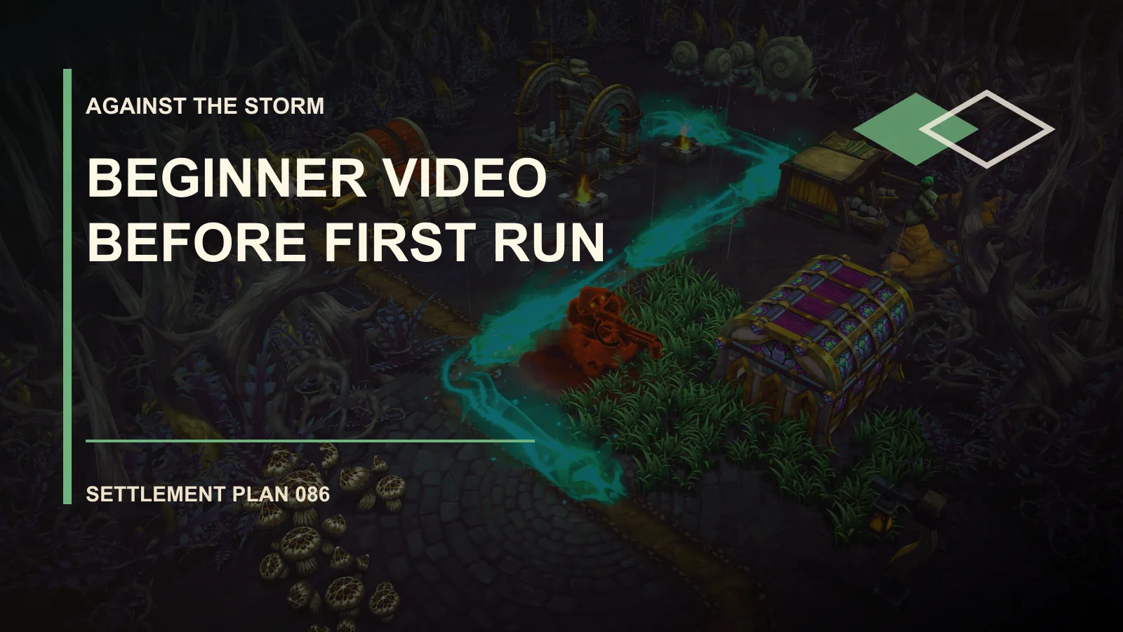 Beginner Video Before First Run